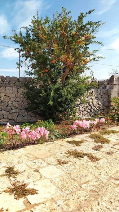 Villa Trullo Mami à Putignano Extérieur photo