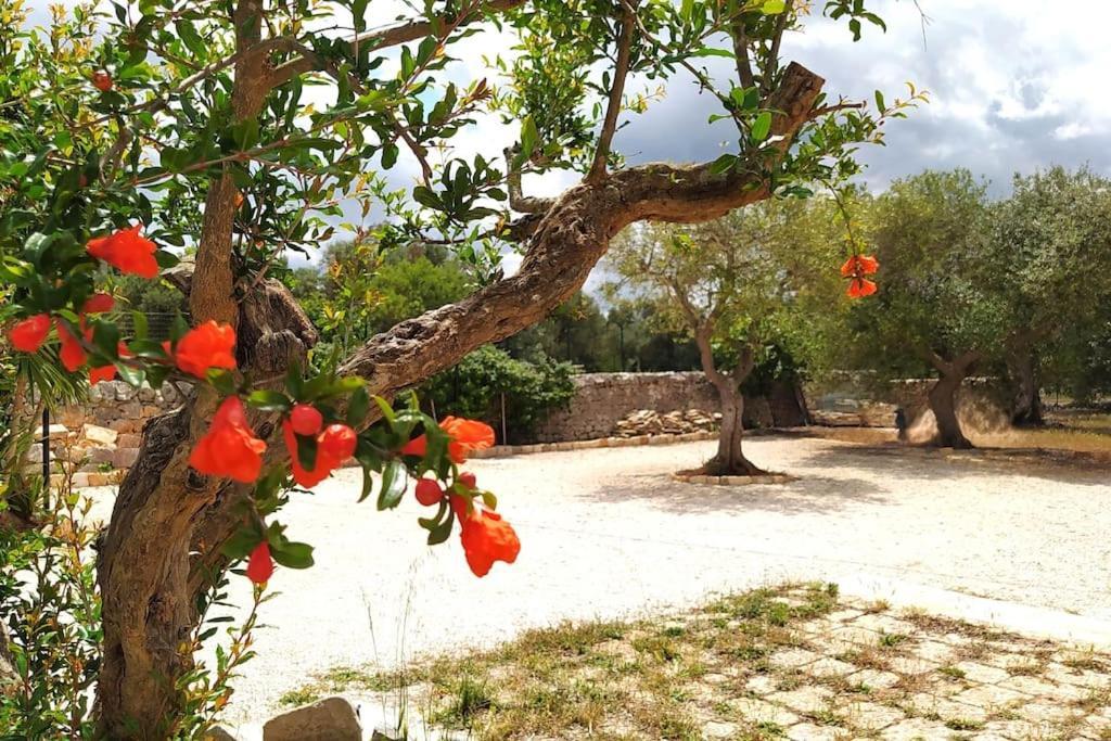 Villa Trullo Mami à Putignano Extérieur photo